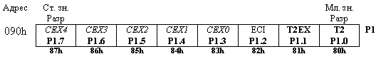 P1.gif (2890 bytes)