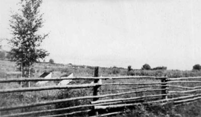 Опытное поле в Миасове