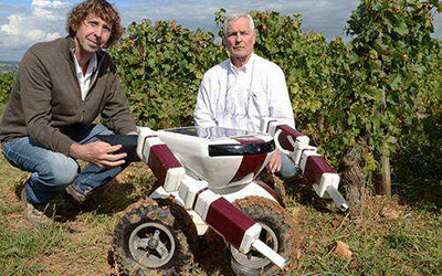 Французский робот &mdash; помощник на виноградниках